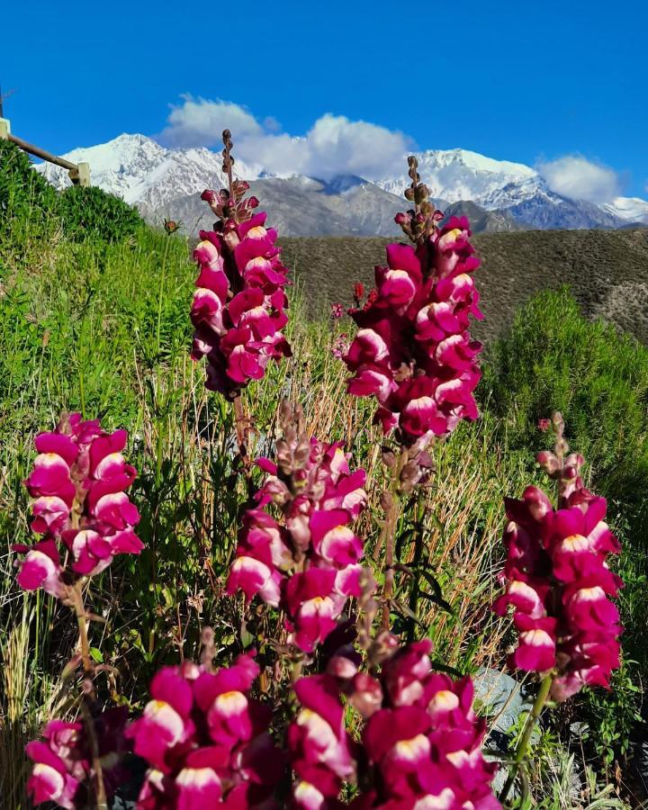 Arribadelvalle - Casas De Altura โปเตรริโญส ภายนอก รูปภาพ